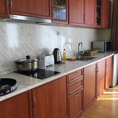 Predela Nadezhda Apartment 반스코 외부 사진