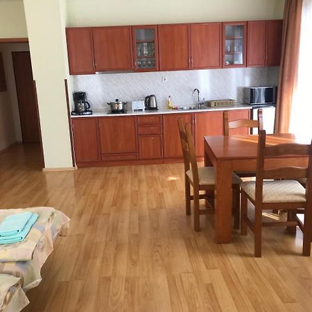 Predela Nadezhda Apartment 반스코 외부 사진